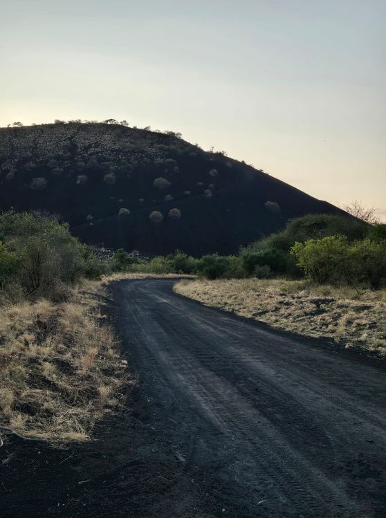 Quiet road at dusk