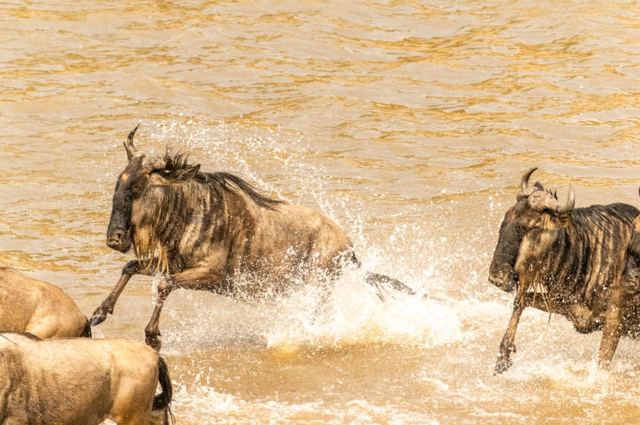 River crossing