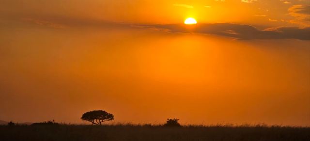 Golden horizon