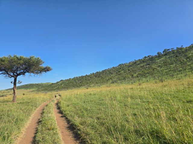 Trail through the hills